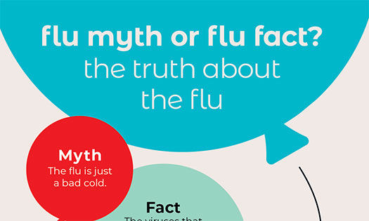 the truth about the flu