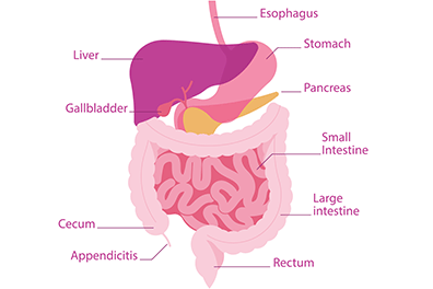 Pediatric pancreatitis - Children's Health